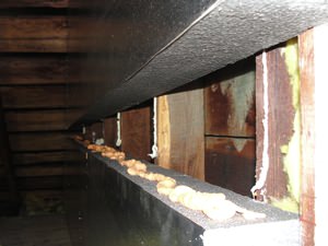 An effective attic insulation system in a Madison home
