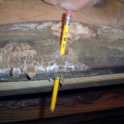 A floor joist with severe mold damage in Scottsville